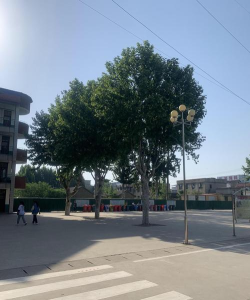 绥化市北林区兴福乡第一中学