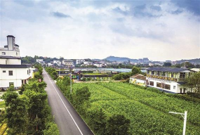 博罗县长宁镇松树岗小学