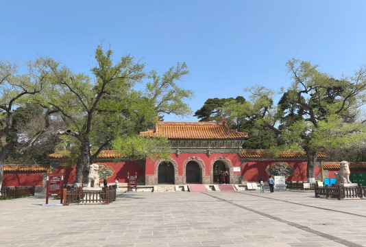 仙桃市通海口荣国武校