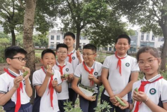 上虞市华维文澜小学