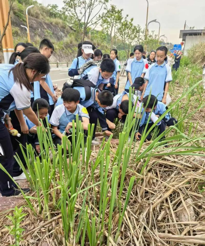 资阳市雁江区新场乡初级中学