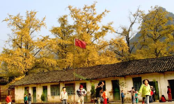 广西桂林市灵川县海洋乡初级中学