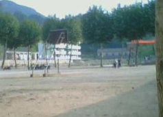 金寨县沙河乡中心小学