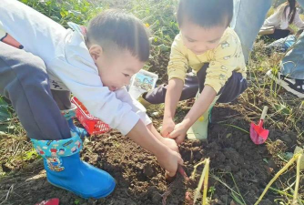 东莞市常平镇第二幼儿园