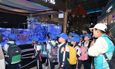 青岛市四方区四流南路第一小学(青岛四流南路一小)