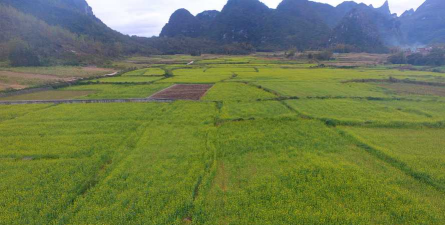 金城江区拔贡初级中学