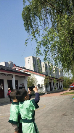 石岛镇柳树幼儿园