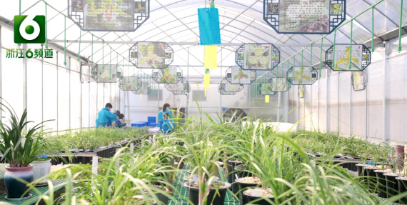 萧山区戴村镇初级中学