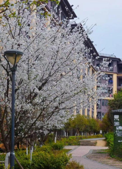 贵阳信息科技学院