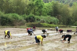 崇义县长龙镇大摆小学