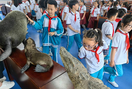 蓬莱市易三实验小学