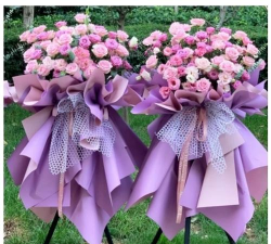 镇赉县建平乡中学校