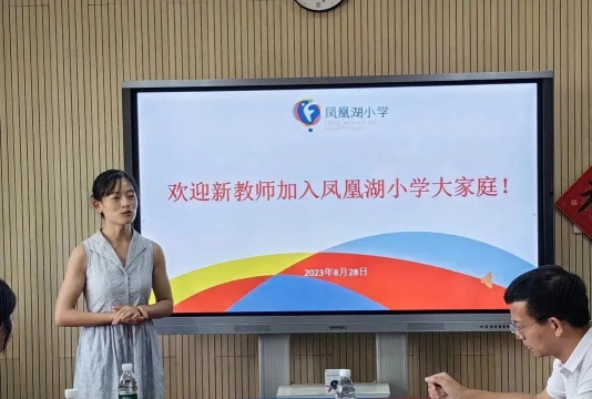 凤江镇凤湖小学