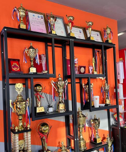 盐城市大丰区功夫王体育培训有限公司