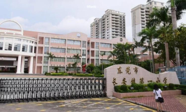 东莞市长安振安小学