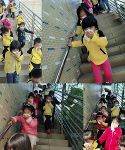 深圳市龙华区博蕾黎光幼儿园