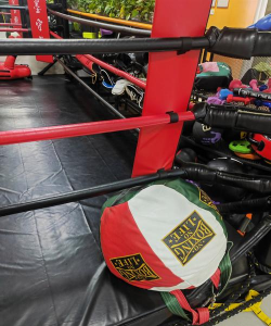 重庆市涪陵区玄武体育培训有限公司