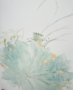 贵溪县志光柏山村小学