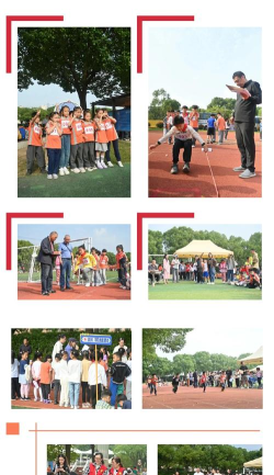 苍溪县白鹤乡小学校