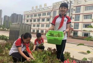 临沂市兰山区白沙埠镇中心小学