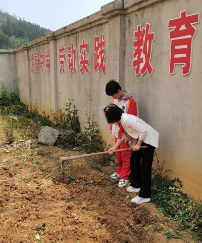 芜湖县陶辛镇初级中学