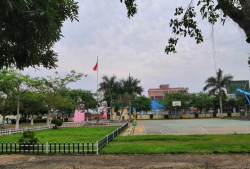 莲南小学