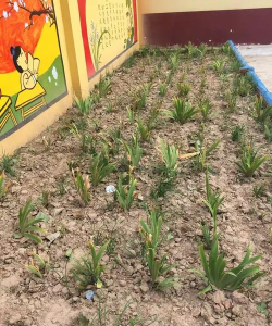 东昌府区斗虎屯镇中心小学