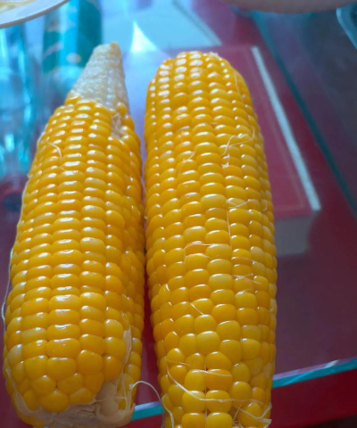 青岛市商业幼儿园