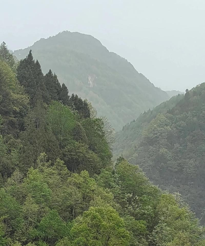 新兴县里洞镇鹅石教学点