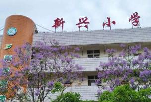 新兴县天堂镇内东小学