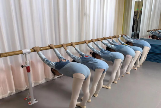 咸阳小天鸽艺术培训有限公司