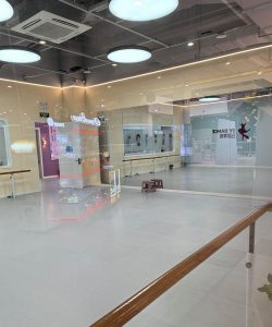 新乡县唯舞舞蹈培训有限公司