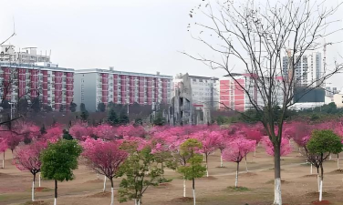 巩义市米河镇第二初级中学