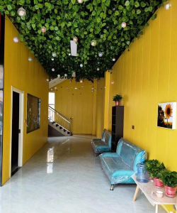 廊坊市安次区曹萍艺术培训学校有限公司