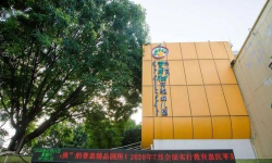 佛山市禅城区苹果树实验幼儿园