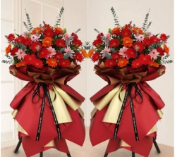 白石镇白石三中