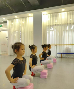 汉寿县小荧星拉丁舞教育培训学校有限公司