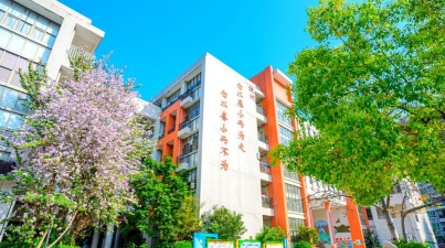 第十小学