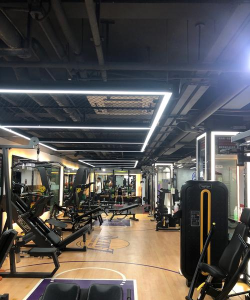 佛山禅城莱士体育培训有限公司