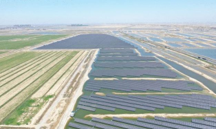 沧州渤海新区南大港英和教育培训学校有限公司