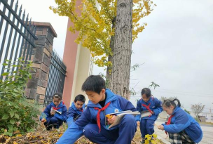 银杏乡中心小学