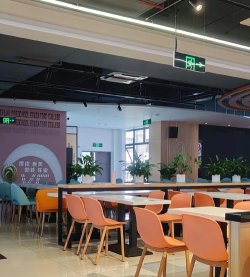 成都信息技术幼儿师范学校