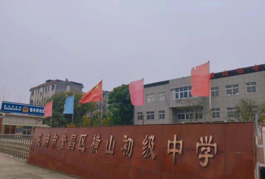 攸县坪阳庙乡中学