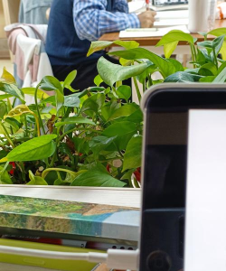 济南市历下区书心阁文化艺术培训学校有限公司