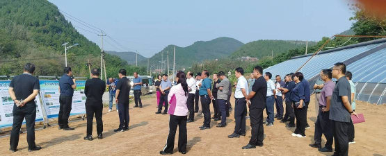 西山镇石公小学