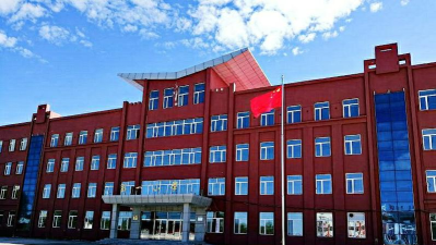 达连河镇中心小学