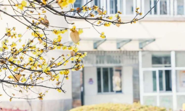 上海市嘉定区望新小学