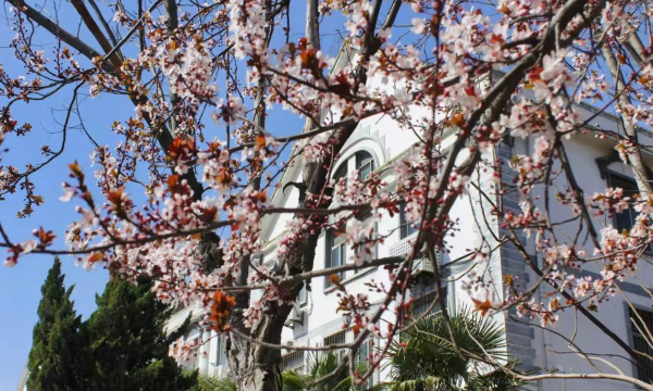 清丰县第一高级中学(清丰一高)