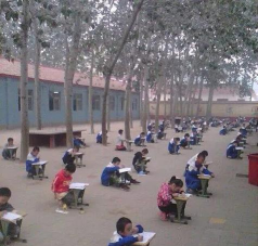 瓦房店市轴承小学