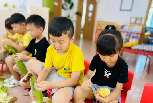 东陈向阳花幼儿园